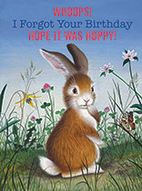 Belated Birthday - Contrite Bunny